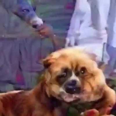 ksio pon música de ferretería siberiana