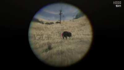 Must have been one of Harriot’s spies