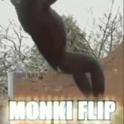 OOO AAHH OOOO UH UH UH