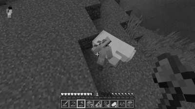 Forget dog armor I need parrot armor