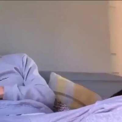 Belly Rubs...too..good...