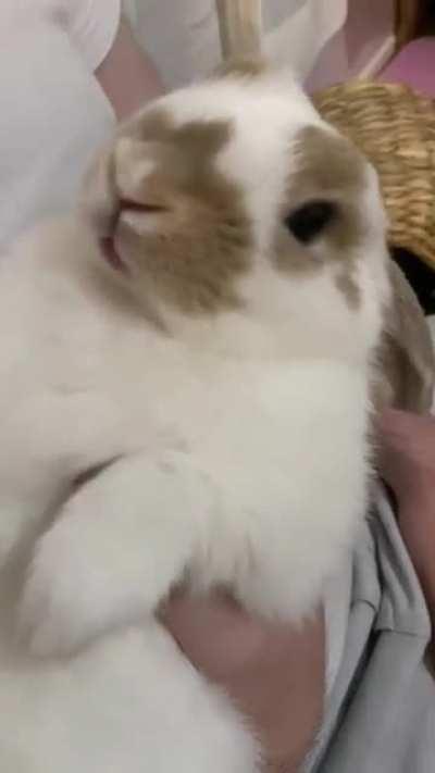 Treats and pets for being such a good boy while getting his nails trimmed!