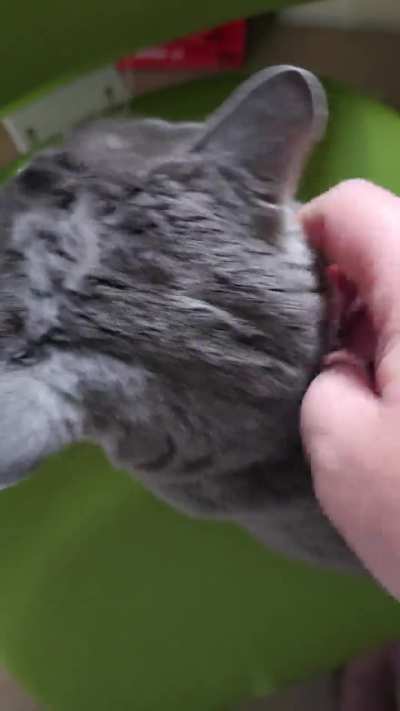 I heard Josie might fit here.