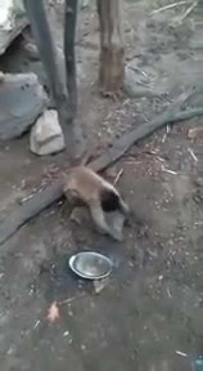 And you guys are worried about covid