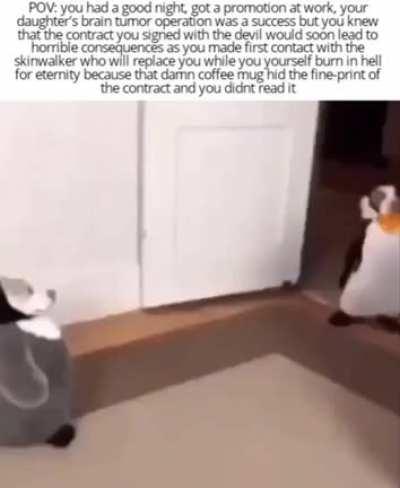 Read. The. Contract. Entirely.