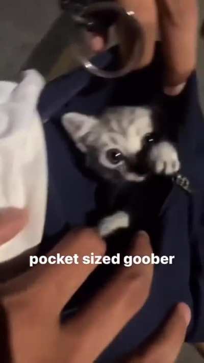 Seriously, What’s in That Pocket?!😂