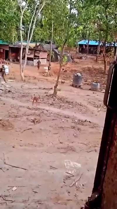 Indian Border Security Force trooper having a close call during a Naxalite attack, a Naxal fired Mortar lands in front of him but doesn't explode on impact giving him few seconds to react. (June-2024)