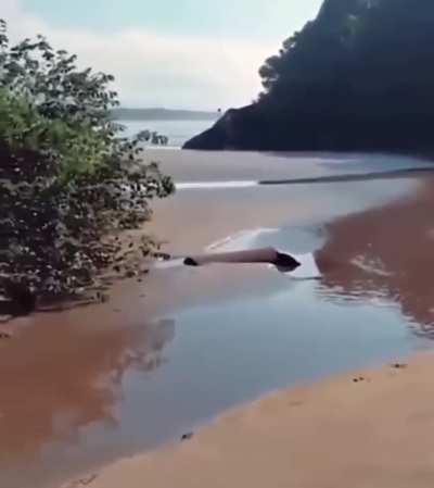 It will take a second to...😂