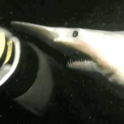 Her: It's my first time. Also her: