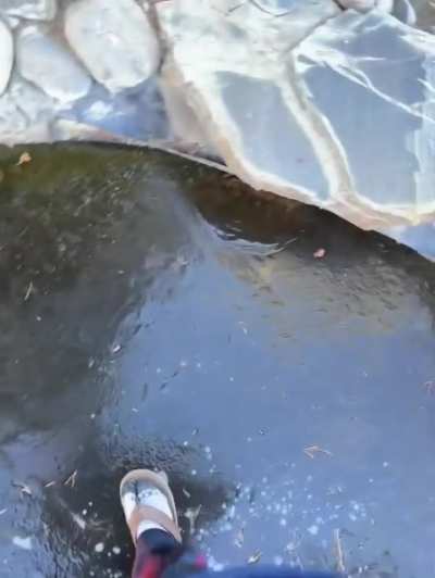 Ever wonder how thick ice is? Just stand on it!