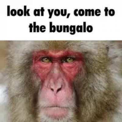 Tallllllllllllllllllllllllly