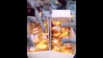 Stream snipers trying to get an invite to X's new NoPixel server