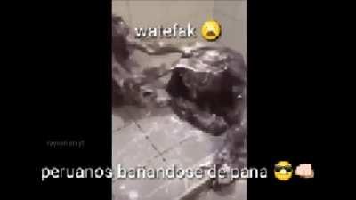 bien frescos los panas