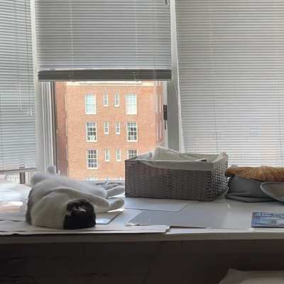 Some very long overdue 🍭 - napping with his brother George! (FYI we’re pretty active on IG now)