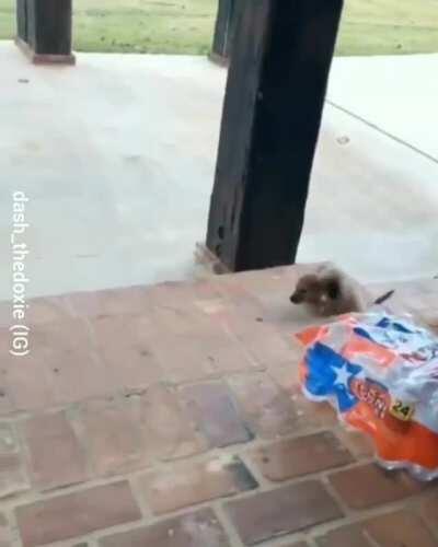 Large stairs, tiny unit