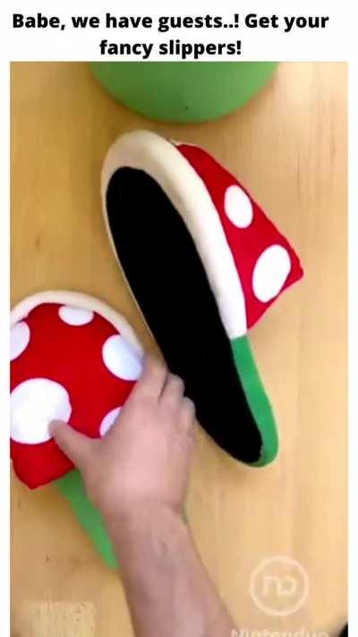 She said fancy not the coolest slippers to ever exist