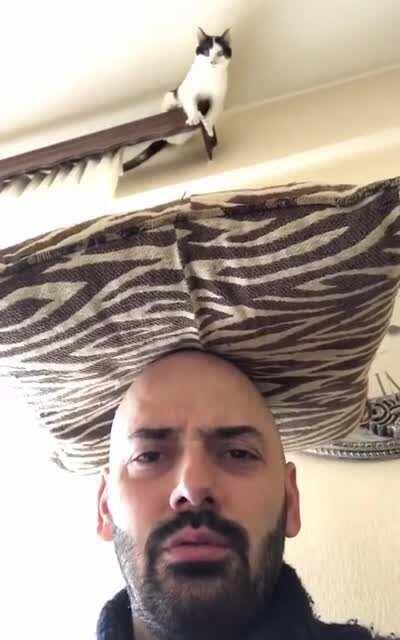 He knew she was up to something