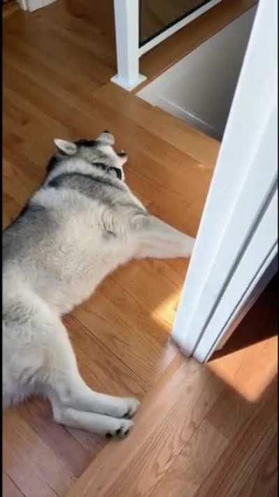 The voice of an angel...