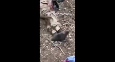 RU pov: Footage shows allegedly RU POWs getting executed by UA soldiers. Extremely graphic