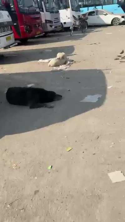 Most militarised zone for a reason