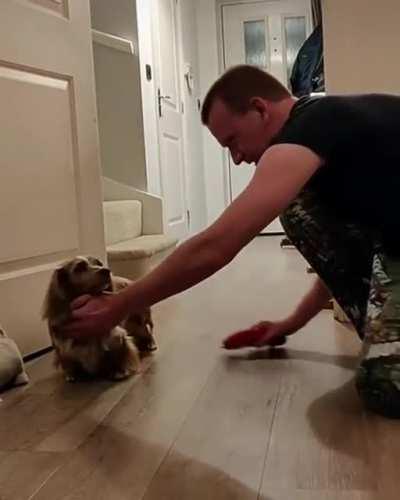 Still faster than Bottas pit stop