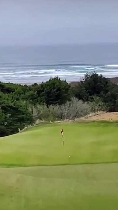 Me who struggles to get onto the green 1st shot on a par 3. And then there is this man.