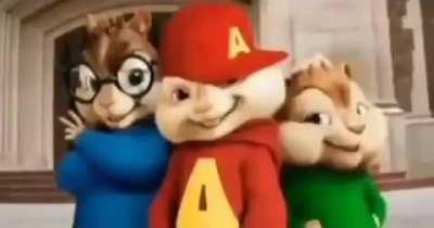 ESTILOZAP - Video #5101