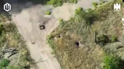 Several Russian soldiers eliminated by drone drops and FPV drones of the 