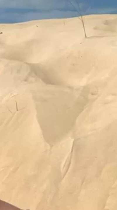 Are you curious to know what my friend is doing, and where is she?