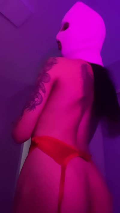 are there brave guys willing to breed a trans on christmas