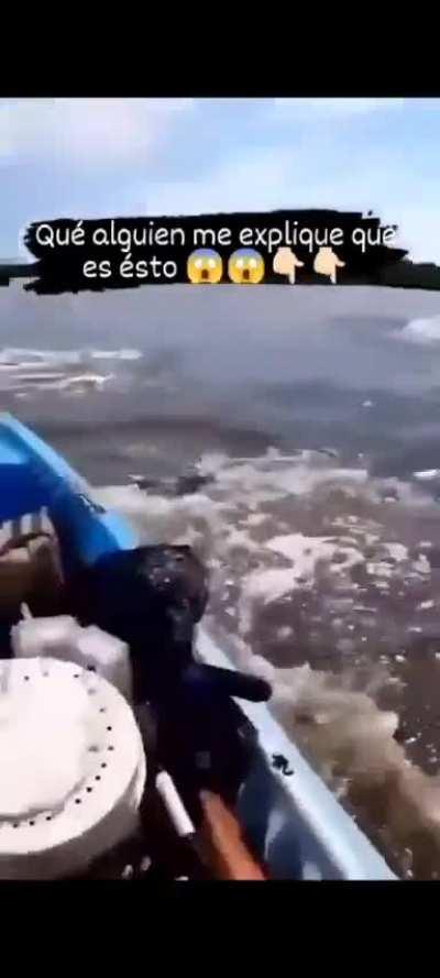 Alguna explicación para esto? Lindo susto