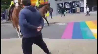 Met horses not really digging the rainbows.