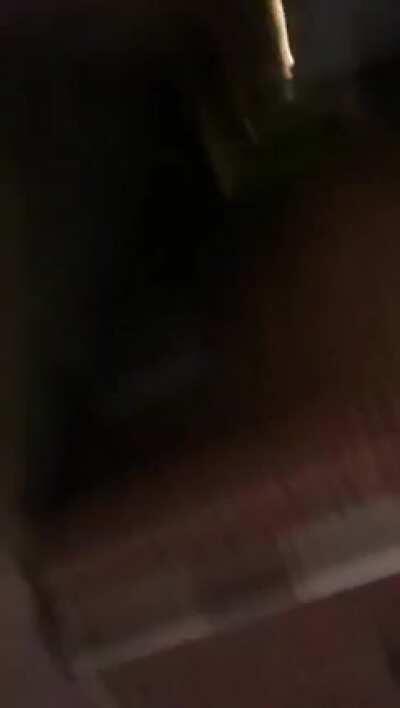 Someone’s psycho neighbour didn’t like them to fire fireworks