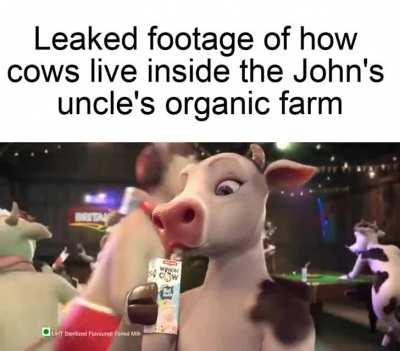 I hacked NASA's server and found this. Take this vegoons, your propaganda is over now. Time to pack your bags and leave...