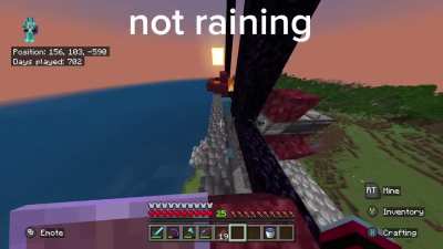 zombie piglin farm not working correctly