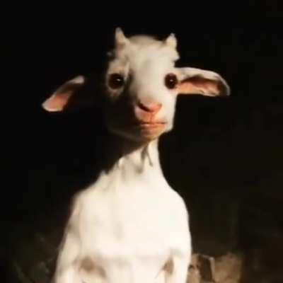 Que hacen si ven esto afuera de tu casa