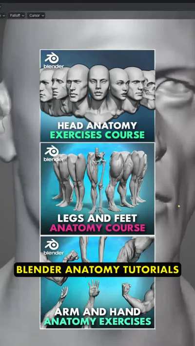 3 Blender Anatomy Tutorials $5