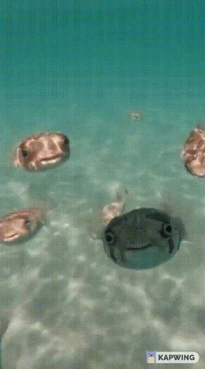 cute but slightly unsettling