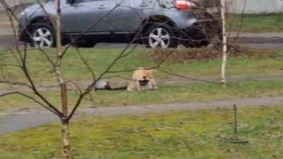 Hey, watcha you're doing?