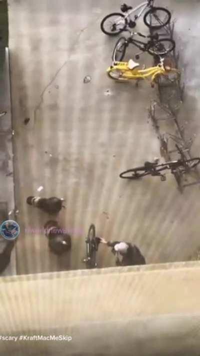 Turkeys really hate this guy