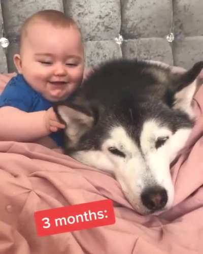 Best Friends documented over a 30 month span