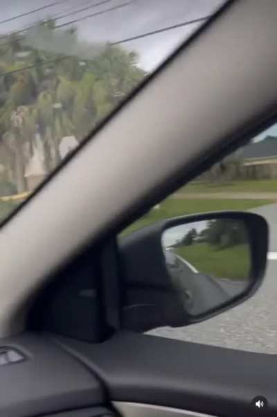 Girl saves a Turtle from being crushed by moving vehicles.