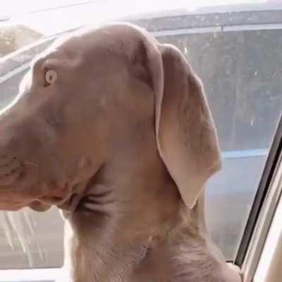 I wasn't sleeping dude.