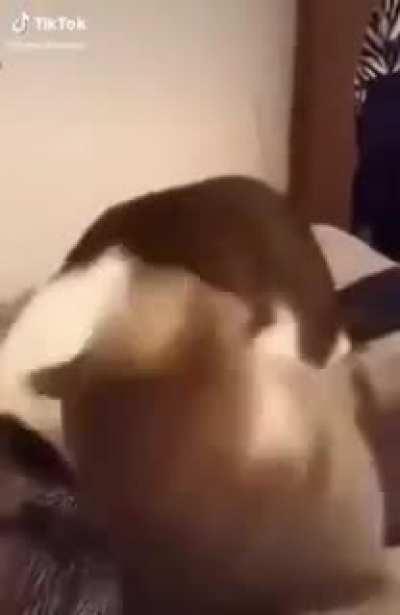 والله ضحكت 😂