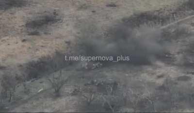 Occupier picnic got interrupted...