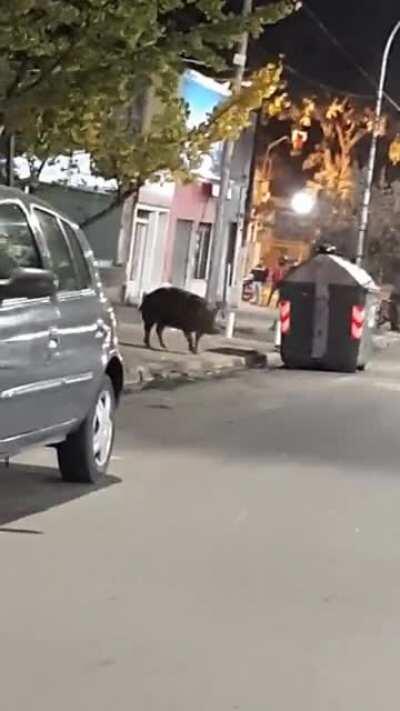 Orgulloso de ser del interior