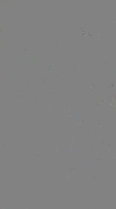 @xlanzf (2023-12-05)