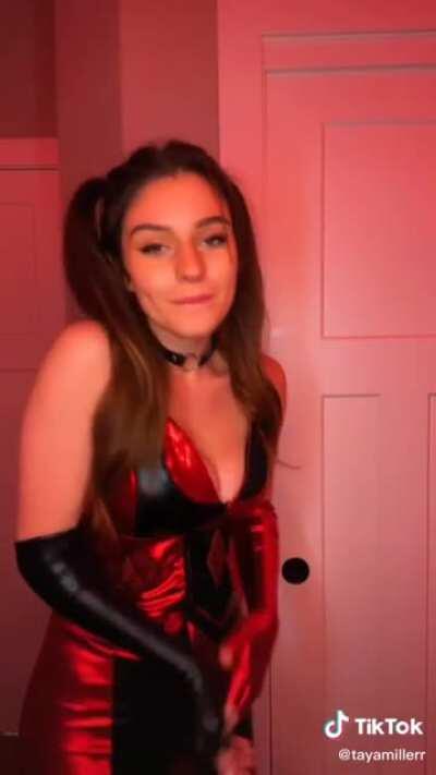 Old School and New Style Harley Quinn