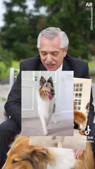 Dolar blue 800 pesos, mientras Alberto...