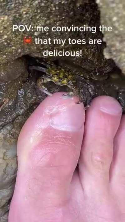 Thanks, I hate man feeding a crab his toe skin 😐